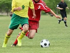 池石镇因身,体原因暂别,跑男,平博体育,平博体育官网,平博体育官方,平博体育下载