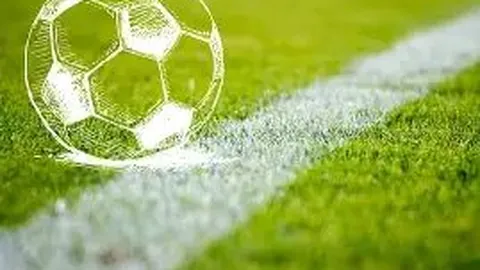 刘晓庆澄清税务争议：坚决否认逃税指控，接受全面审查