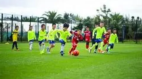 平博体育 产品 094431 soe