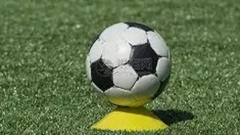 平博体育 产品 094544 2go