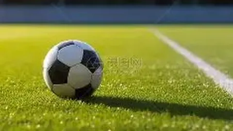 平博体育 资讯 095451 6gl